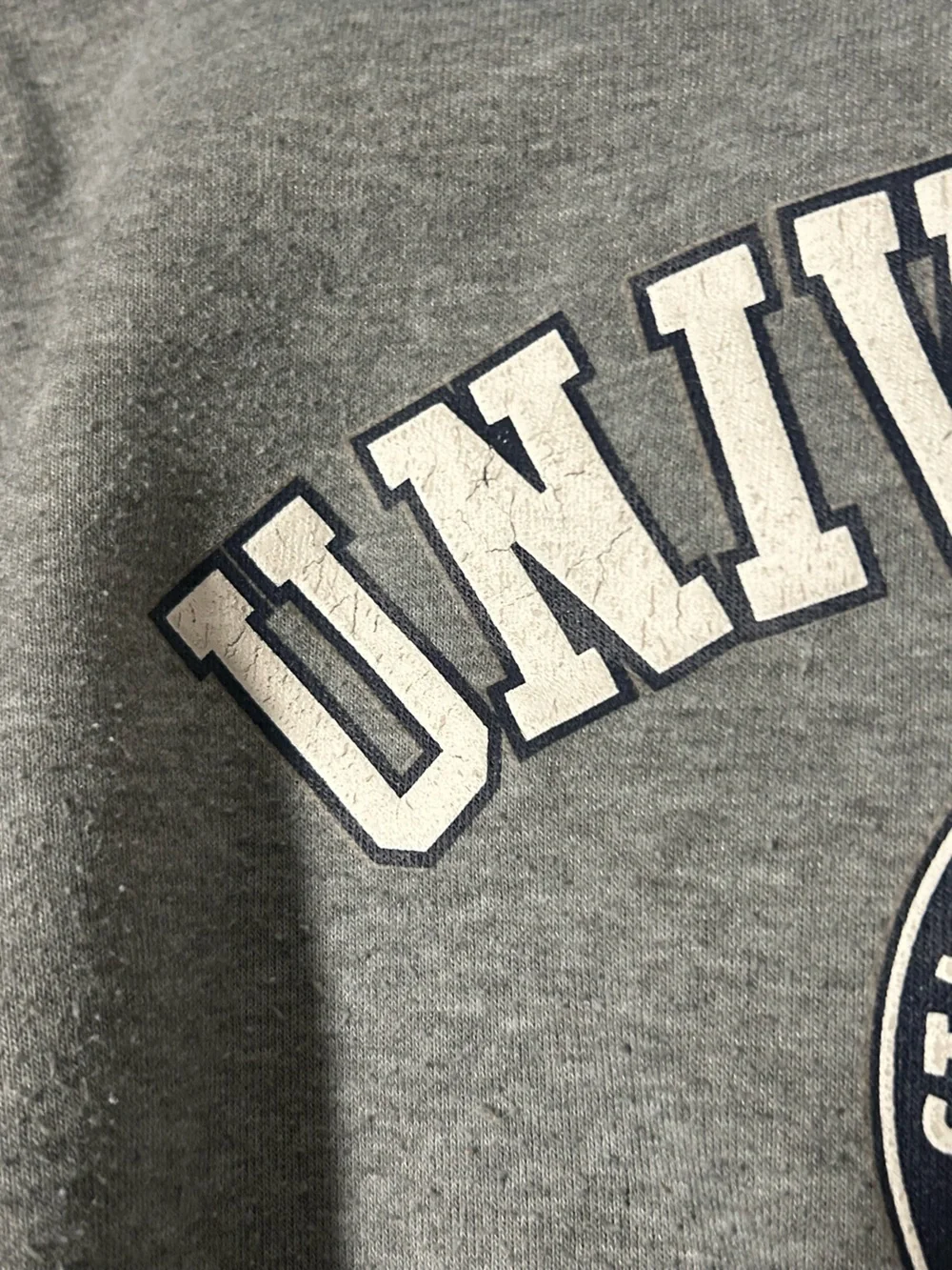 Universita Roma Gray Hooded Sweatshirt